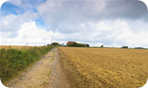 Accounting Company Gatton